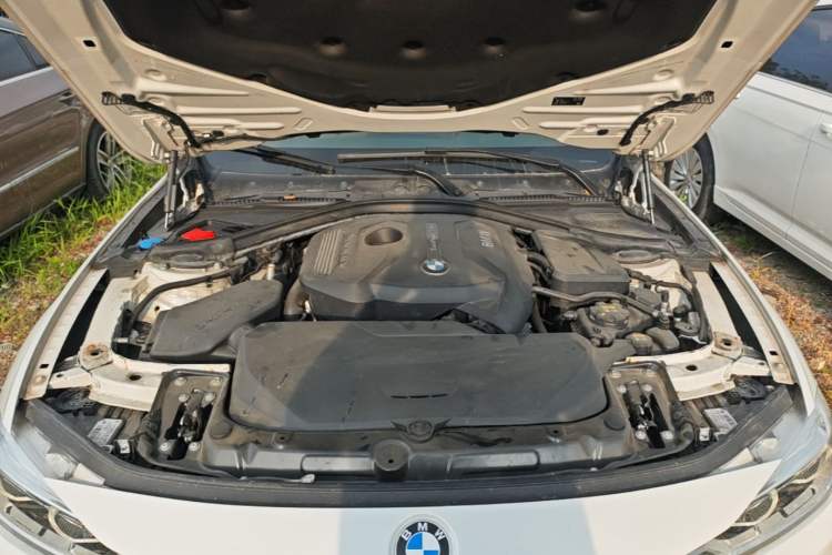 Used BMW 3 Series 2018 320Li Fashion Model Engine Bay