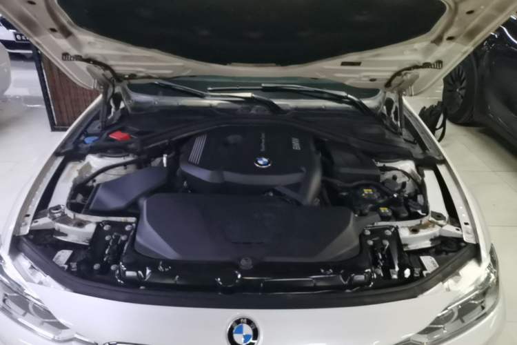 Used BMW 3 Series 2018 320Li Fashion Model Engine Bay