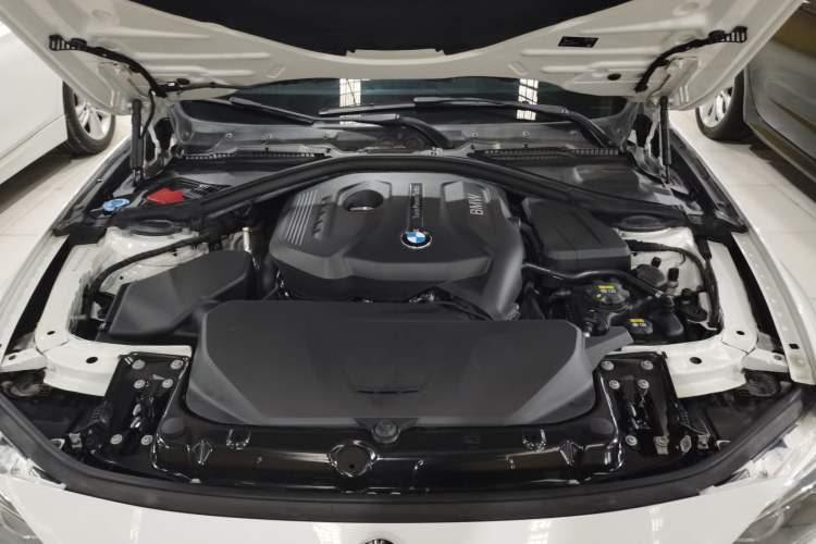 Used BMW 3 Series 2018 320Li Leading Model M Sport Package Engine Bay