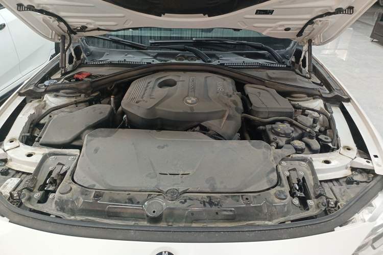 Used BMW 3 Series 2018 320Li Leading Model M Sport Package Engine Bay