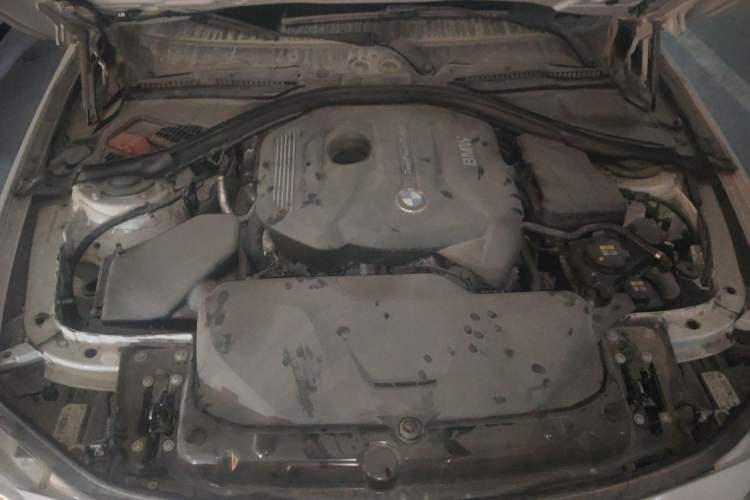 Used BMW 3 Series 2018 320Li Leading Luxury Package Engine Bay