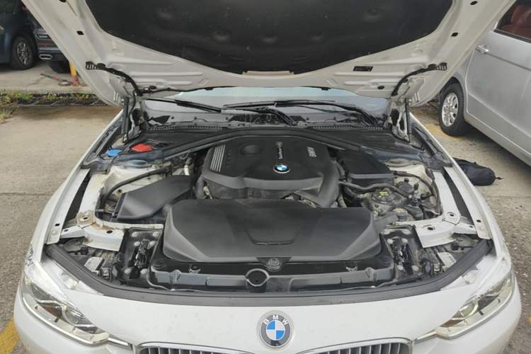 Used BMW 3 Series 2018 320Li Fashion Model Engine Bay