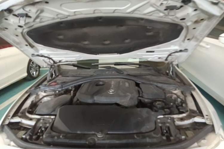 Used BMW 3 Series 2018 320Li Fashion Model Engine Bay