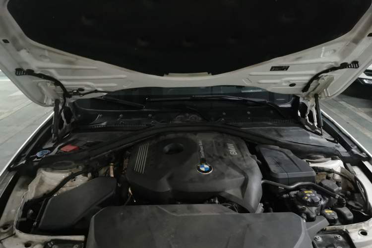 Used BMW 3 Series 2018 320Li Fashion Model Engine Bay