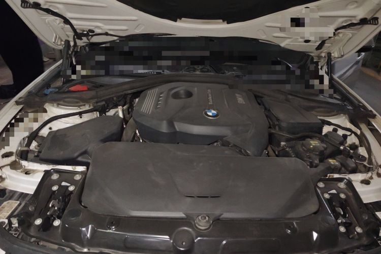 Used BMW 3 Series 2018 320Li Fashion Model Engine Bay