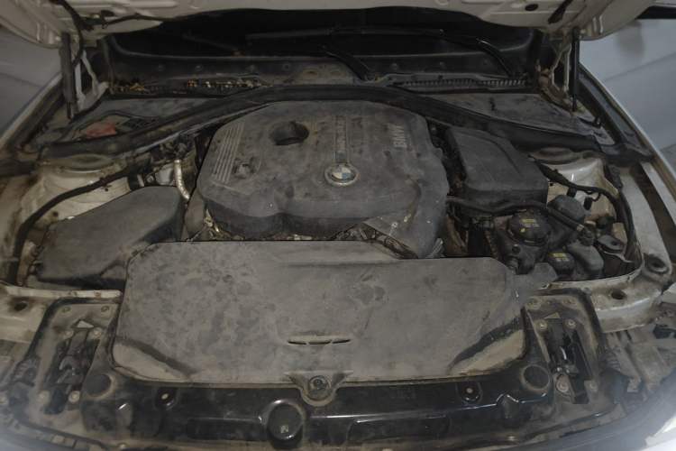 Used BMW 3 Series 2018 320Li Leading Model M Sport Package Engine Bay