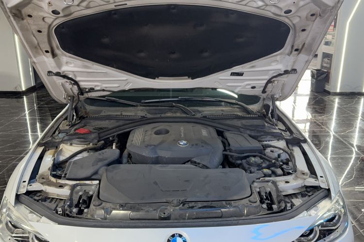 Used BMW 3 Series 2018 320Li Fashion Model Engine Bay