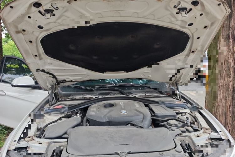 Used BMW 3 Series 2018 320i M Sport Package Engine Bay