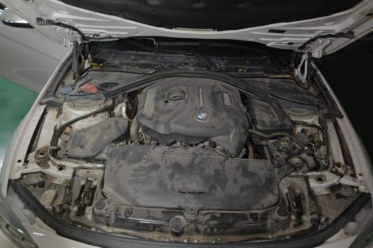 Used BMW 3 Series 2018 320Li Fashion Model Engine Bay