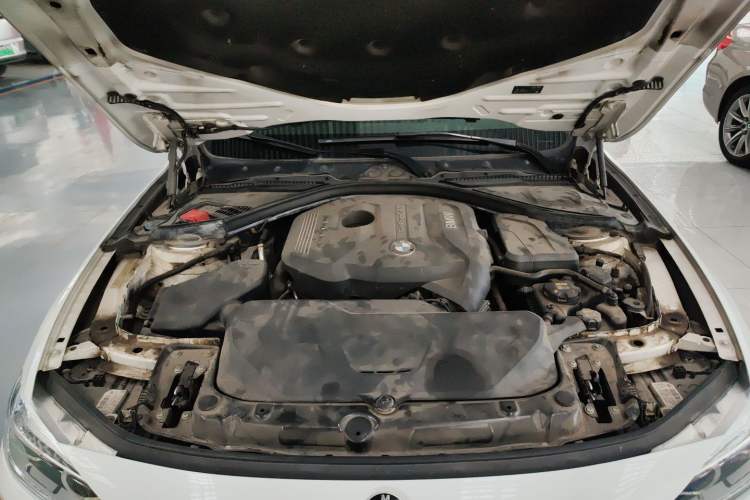 Used BMW 3 Series 2018 320Li Fashion Model Engine Bay