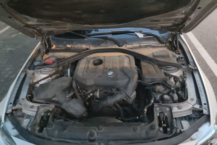 Used BMW 3 Series 2018 320Li Fashion Model Engine Bay
