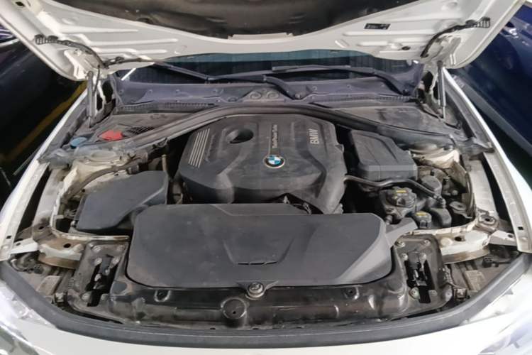 Used BMW 3 Series 2018 320Li Fashion Model Engine Bay