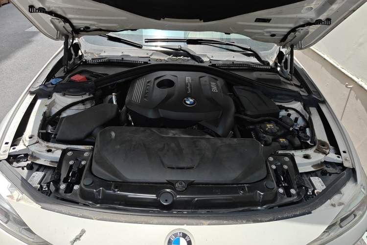 Used BMW 3 Series 2018 320Li Fashion Model Engine Bay