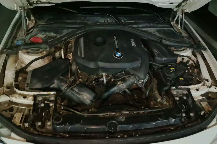 Used BMW 3 Series 2018 320Li Fashion Model Engine Bay