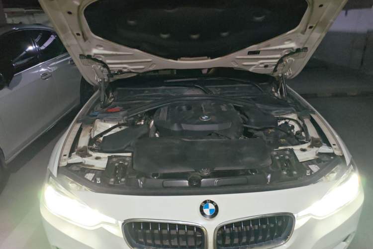 Used BMW 3 Series 2018 320i M Sport Package Engine Bay