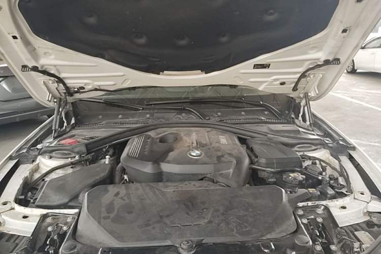 Used BMW 3 Series 2018 320Li Fashion Model Engine Bay