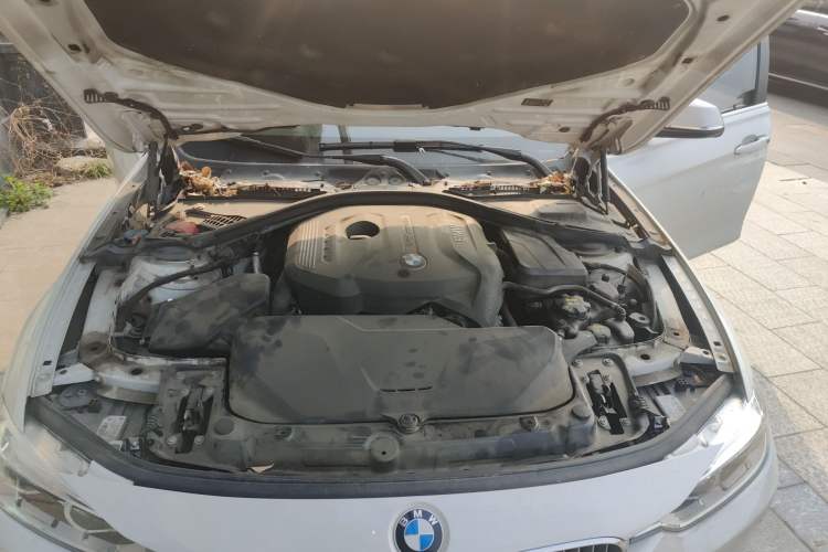 Used BMW 3 Series 2018 320Li Fashion Model Engine Bay