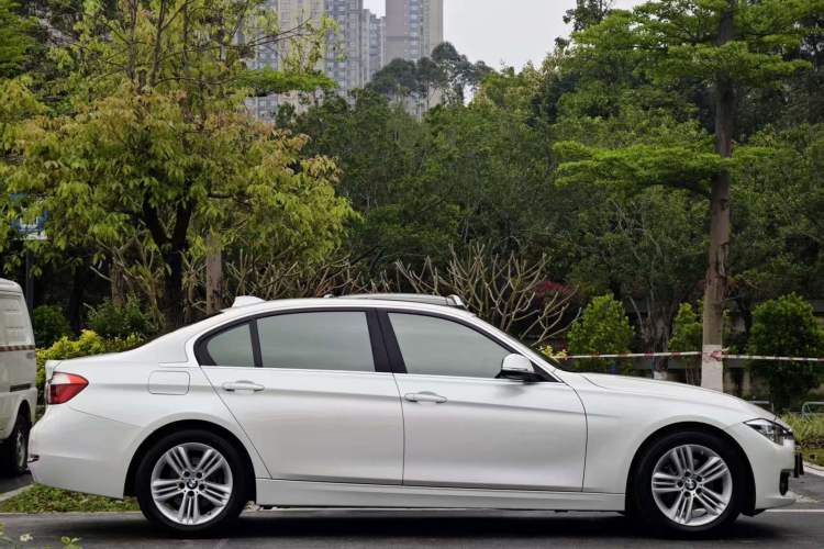 Used BMW 3 Series 2018 318Li Exterior 10