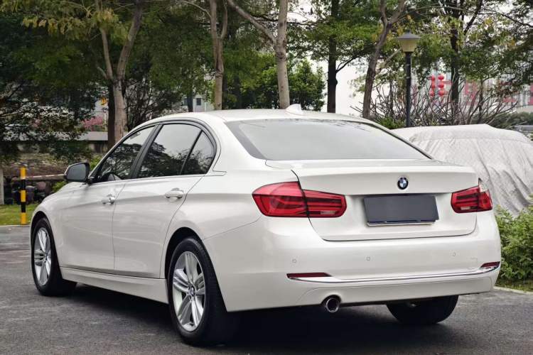 Used BMW 3 Series 2018 318Li Exterior 5