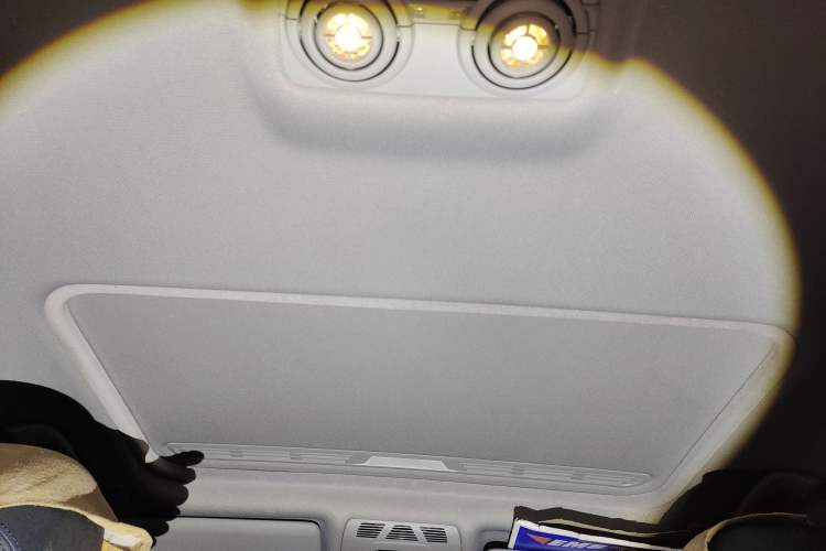Used BMW 3 Series 2018 320Li M Sport Night Edition Headliner