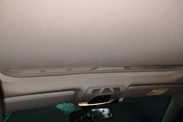 Used BMW 3 Series 2018 320Li Fashion Model Headliner