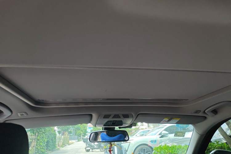 Used BMW 3 Series 2018 318Li Headliner