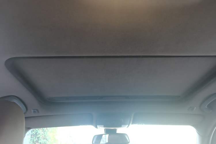 Used BMW 3 Series 2018 320Li Fashion Model Headliner