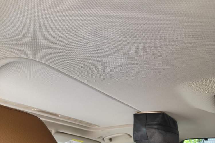 Used BMW 3 Series 2018 330Li M Sport Shadow Edition Headliner