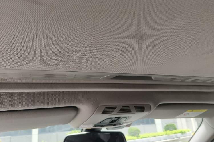 Used BMW 3 Series 2018 318Li Headliner