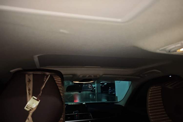 Used BMW 3 Series 2018 320Li Fashion Model Headliner
