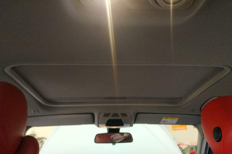 Used BMW 3 Series 2018 318Li Headliner