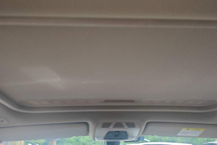 Used BMW 3 Series 2018 320Li Fashion Model Headliner