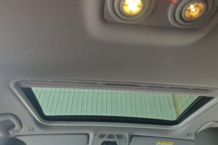 Used BMW 3 Series 2018 318Li Headliner
