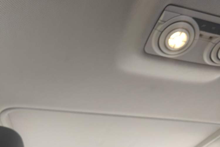 Used BMW 3 Series 2018 320Li Fashion Model Headliner