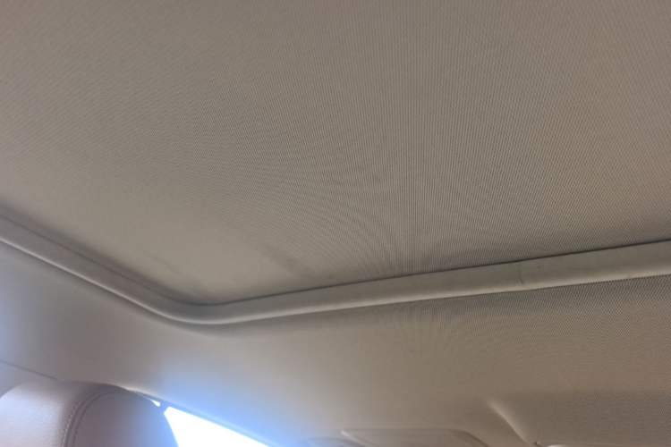 Used BMW 3 Series 2018 320Li Leading Model M Sport Package Headliner
