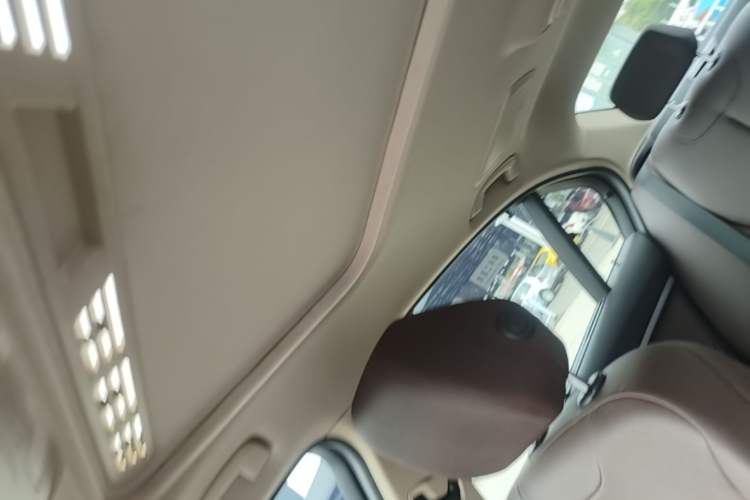 Used BMW 3 Series 2018 320Li Fashion Model Headliner