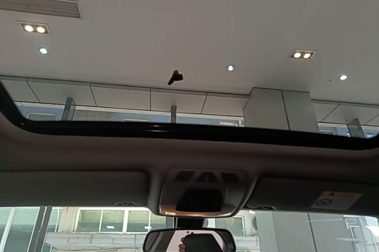 Used BMW 3 Series 2018 318Li Headliner