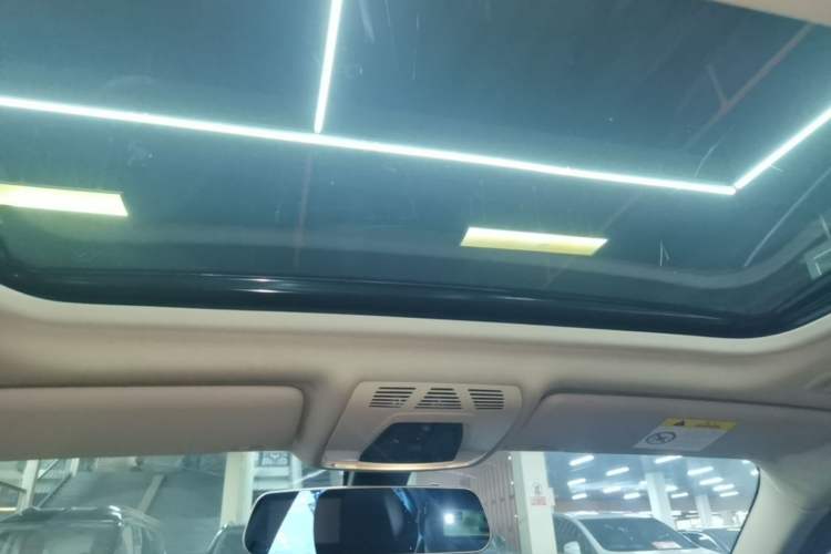 Used BMW 3 Series 2018 320Li Fashion Model Headliner