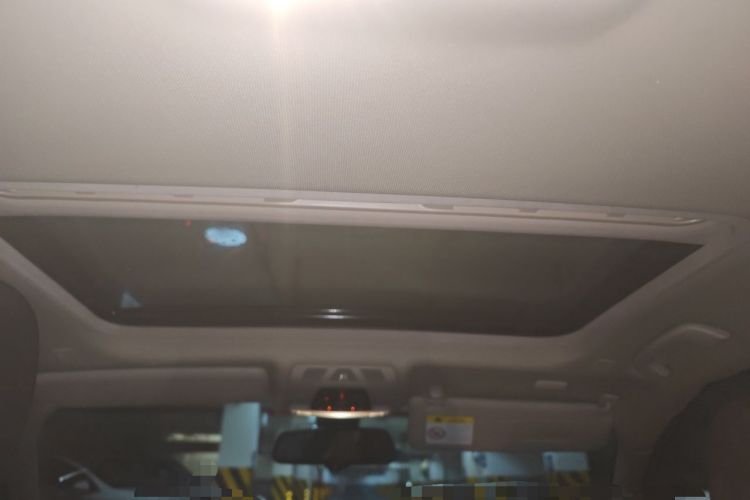 Used BMW 3 Series 2018 320Li Fashion Model Headliner