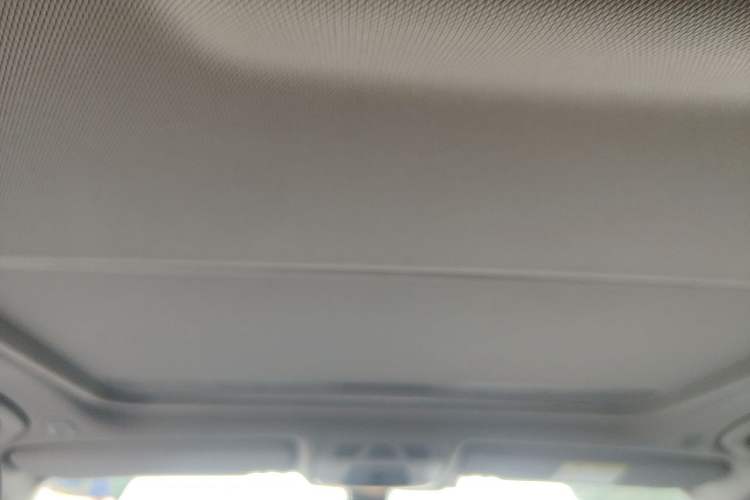 Used BMW 3 Series 2018 320Li xDrive Fashion Model Headliner
