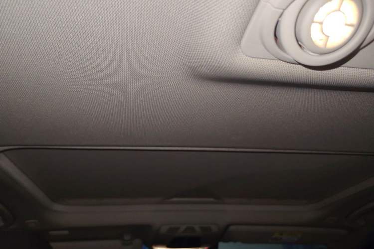 Used BMW 3 Series 2018 320Li Fashion Model Headliner