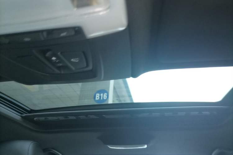 Used BMW 3 Series 2018 320i M Sport Package Headliner