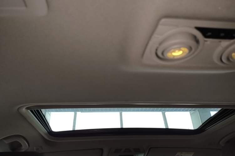 Used BMW 3 Series 2018 320Li Fashion Model Headliner