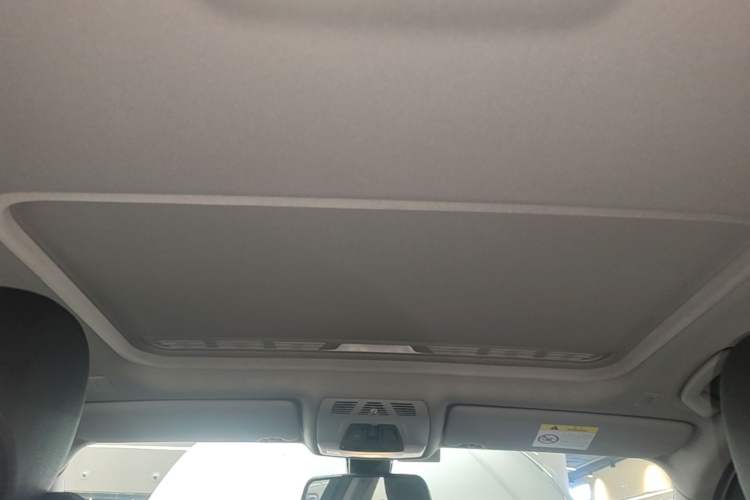 Used BMW 3 Series 2018 318Li Headliner