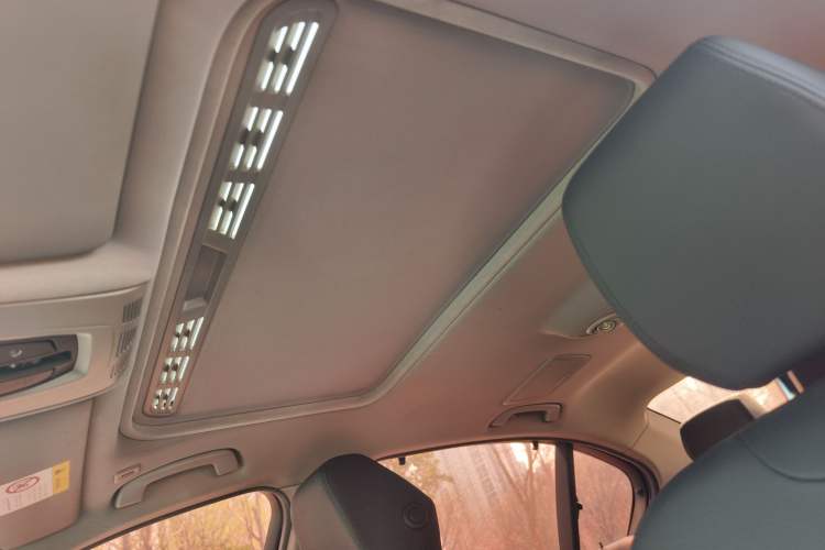 Used BMW 3 Series 2018 318Li Headliner