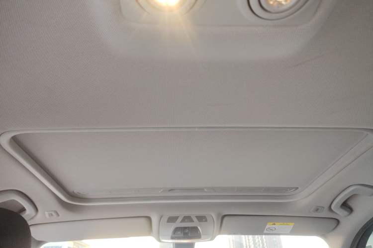 Used BMW 3 Series 2018 318Li Headliner