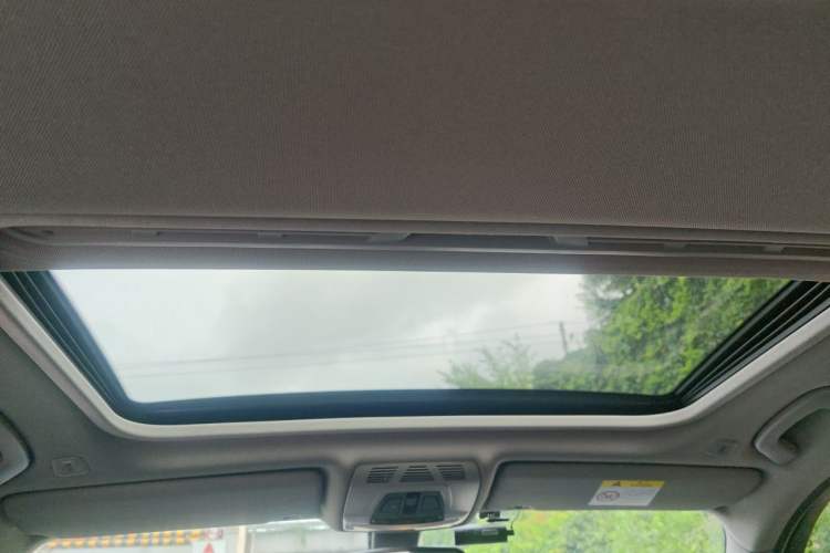 Used BMW 3 Series 2018 320Li Fashion Model Headliner
