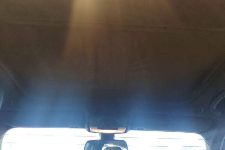 Used BMW 3 Series 2018 320Li Leading Model M Sport Package Headliner