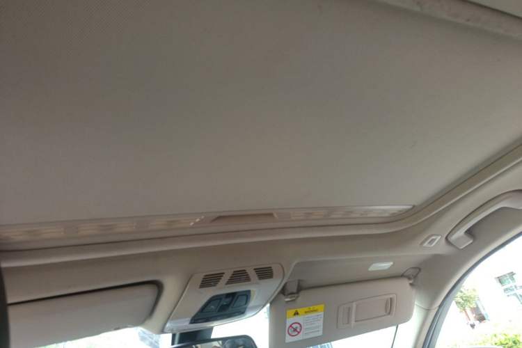 Used BMW 3 Series 2018 318Li Headliner