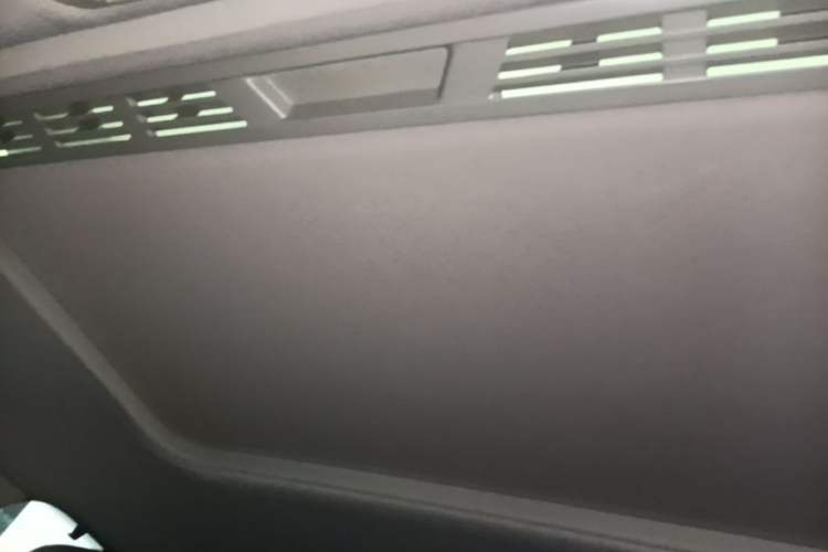 Used BMW 3 Series 2018 320Li Fashion Model Headliner